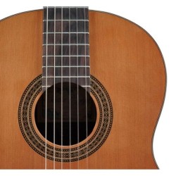 Guit. Salvador Cortez cedro/nogal negro | MÚSICA BILBAO