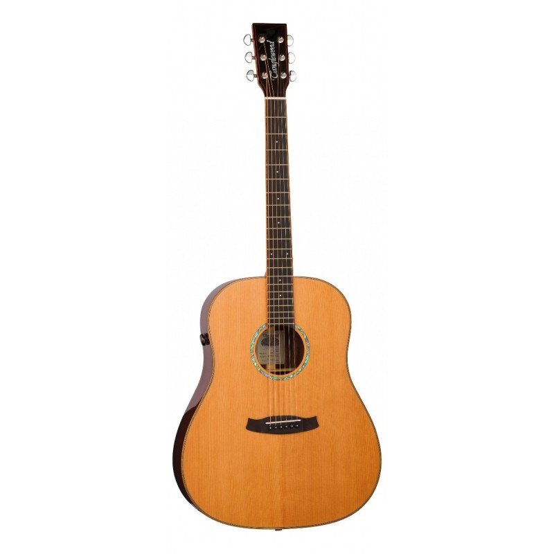 GUITARRA ACÚSTICA TANGLEWOOD SERIE NEW ROSEWOOD SMART DREADNOUGHT ELECTRIFICADA | MÚSICA BILBAO