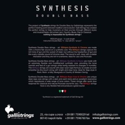 3/4 scale double bass set, synthetic core and clea | MÚSICA BILBAO