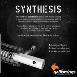 5-string set electric bass, nickel and steel doubl | MÚSICA BILBAO