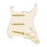 Golp. Strat Eric Johnson Fender SSS11 parchment