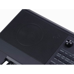 TECLADO MEDELI 61 TECLAS AK603 | MÚSICA BILBAO