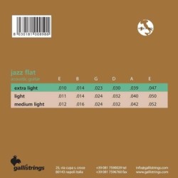 string set acoustic tape wound, extra light, 010-0 | MÚSICA BILBAO
