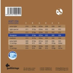 string set acoustic, phosphor bronze wound, bluegr | MÚSICA BILBAO