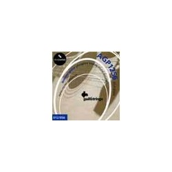 string set acoustic, phosphor bronze wound, bluegr | MÚSICA BILBAO