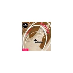 string set acoustic, phosphor bronze wound, specia | MÚSICA BILBAO