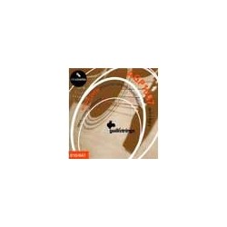 string set acoustic, phosphor bronze wound, extra | MÚSICA BILBAO