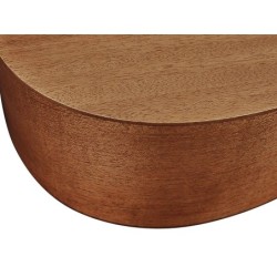 Guit. acú. Auditorium Richwood MACIZA caoba