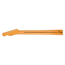 Mástil Fender Player Plus Telec pau ferro