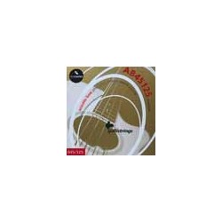 string set acoustic 5-string bass phosphor bronze | MÚSICA BILBAO