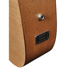 Guit. acú. CE Auditorium Richwood ARTESANA | MÚSICA BILBAO