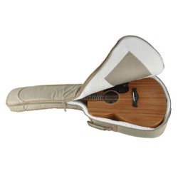 Guit. acú. Auditorium Richwood MACIZA caoba | MÚSICA BILBAO