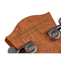 Guit. acú. CE Dreadnought Richwood ARTESANA