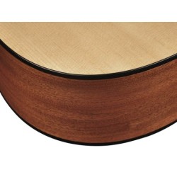 Guit. acú. E Dreadnought Richwood ARTESANA