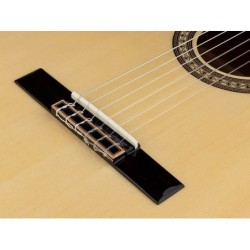 Guit. Salvador Cortez abeto macizo/arce flam. bri.