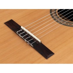 Guit. Salvador Cortez cedro macizo/palosa. brillo