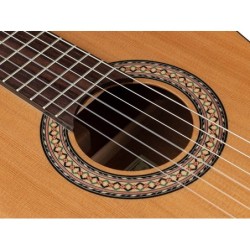 Guit. Salvador Cortez cedro macizo/sapeli zurda