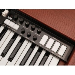 Órgano rueda tonal virtual MOJO CLASSIC Crumar