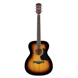 GUITARRA ACÚSTICA RICHWOOD AUDITORIUM SOMBREADA