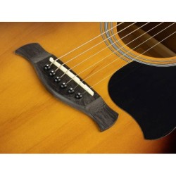 GUITARRA ACÚSTICA RICHWOOD AUDITORIUM SOMBREADA