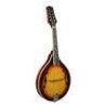 Mandolina estilo A Richwood abeto sunburst