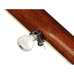 Banjo folk de 5 c. Richwood fondo abierto 24T