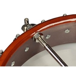 Banjo folk de 5 c. Richwood fondo abierto 24T