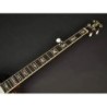 Banjo Bluegrass Richwood de 5 cuerdas 24T