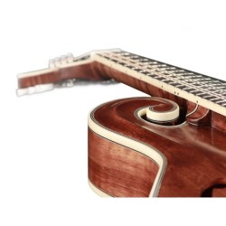 Mandolina esti. F Richwood MACIZO arce-abeto nogal