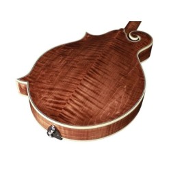 Mandolina esti. F Richwood MACIZO arce-abeto nogal