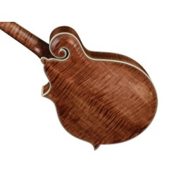 Mandolina esti. F Richwood MACIZO arce-abeto nogal