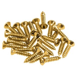 Tornillos golpeador Fender 24ud dorados | Música Bilbao