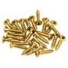Tornillos golpeador Fender 24ud dorados | MÚSICA BILBAO