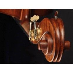 Contrabajo Rudolph 3/4 modelo violín