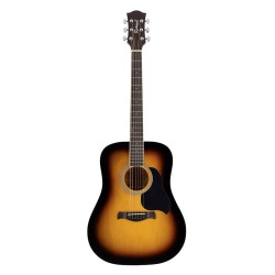 Guit. acú. E Dreadnought Richwood Negro