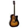 Guit. acú. E Dreadnought Richwood Sunburst