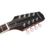 Banjo 6 cuerdas Richwood caoba 24T