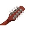 Banjo 6 cuerdas Richwood caoba 24T