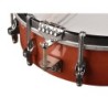 Banjo 6 cuerdas Richwood caoba 24T