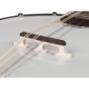 Banjo 6 cuerdas Richwood caoba 24T