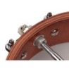 Banjo 6 cuerdas Richwood caoba 24T