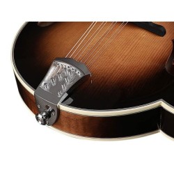 Banjo Bluegrass Richwood de 5 cuerdas 24T