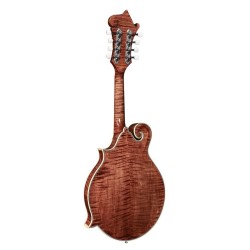 Banjo 6 cuerdas Richwood aluminio-ébano 24T