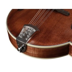 Banjo Bluegrass 5 cuerdas Richwood aluminio 24T