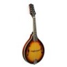 Mandolina estilo A Richwood abeto sunburst