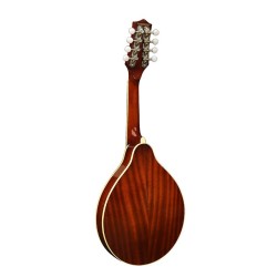 Mandolina estilo A Richwood abeto sunburst