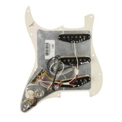 Golpeador Fender Tex-Mex SSS11 tortoise shell | MÚSICA BILBAO