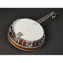 Banjo 4 c. Richwood caoba 24T 17 trastes