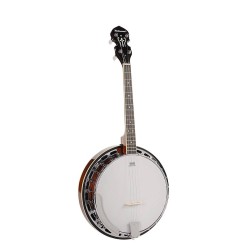 Banjo 4 c. Richwood caoba 24T 17 trastes