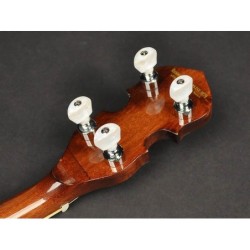 Banjo 4 c. Richwood caoba 24T 17 trastes